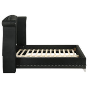 Barzini Upholstered Queen Wingback Bed Black - 300643Q