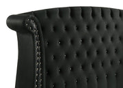 Barzini Upholstered Queen Wingback Bed Black - 300643Q
