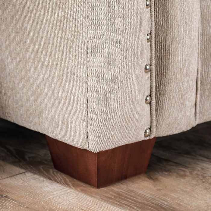 Belsize Beige/Navy Loveseat - SM6438-LV