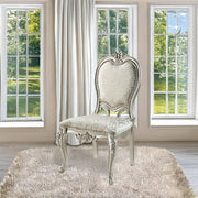 Bently Side Chair (Set-2) - DN01369