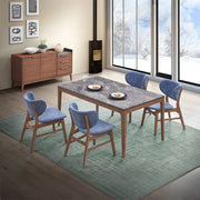 Bevis Side Chair (Set-2) - DN02313