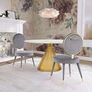 Brandy Velvet Upholstered Dining Chair in Grey, Set of 2 - 580Grey-C