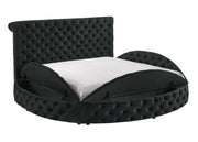 Brigitte Black Queen Upholstered Storage Panel Bed - Gate FurnitureQueen Bed