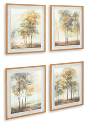 Bryneford Multi Wall Art (Set of 4) - A8000411