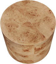 Burl Wood End Table in Natural - 270-E