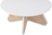 Butterfly Natural Cane And Oak Veneer Coffee Table in White - 208White-CT
