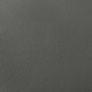 Buxton 2-piece Leather Upholstered Sofa Set Graphite - 509504-S2