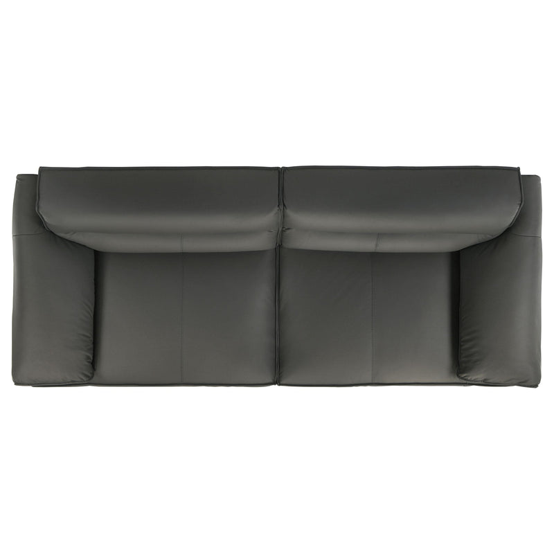 Buxton 2-piece Leather Upholstered Sofa Set Graphite - 509504-S2