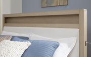 Calmoro Gray Queen Bookcase Bed - B602B4