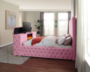 CANNES KING BLACK - CANNES KING BLACK