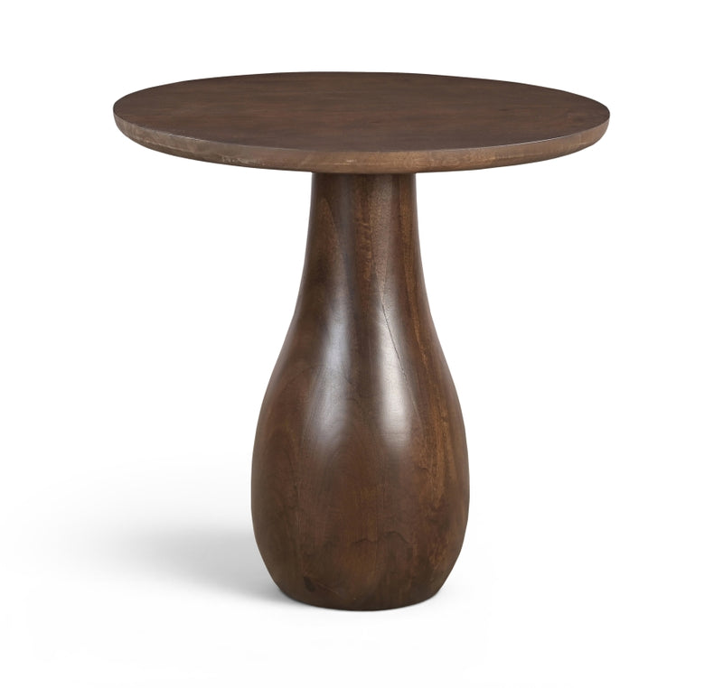 Canyon Mango Wood End / Side Table in Brown - 77012Brown-ET