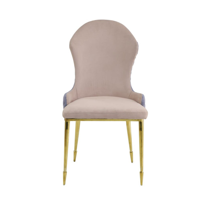 Caolan Side Chair (Set-2) - 72469