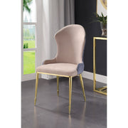 Caolan Side Chair (Set-2) - 72469