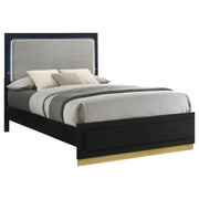 Caraway Wood Eastern King LED Panel Bed Black - 224781KE