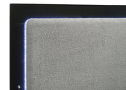 Caraway Wood Eastern King LED Panel Bed Black - 224781KE