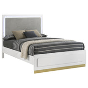 Caraway Wood Queen LED Panel Bed White - 224771Q
