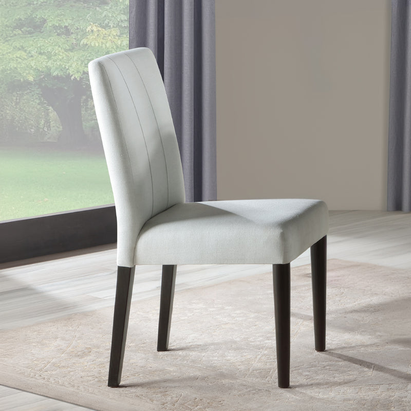 Carena Side Chair (Set-2) - DN02956