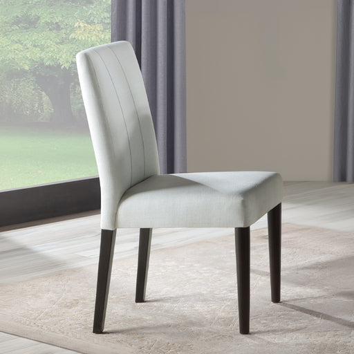 Carena Side Chair (Set-2) - DN02956
