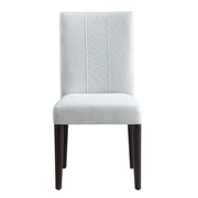 Carena Side Chair (Set-2) - DN02956
