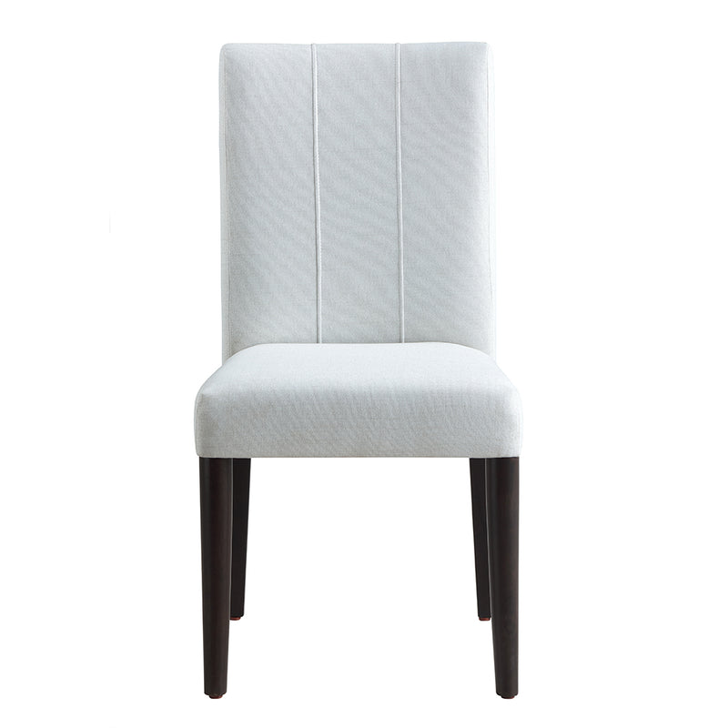 Carena Side Chair (Set-2) - DN02956