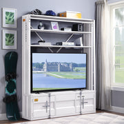 Cargo Bookcase W/Ladder - 39882