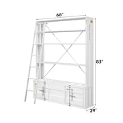 Cargo Bookcase W/Ladder - 39882