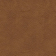 Carianna Queen Sofa Sleeper - Gate FurnitureSleeper Sofa