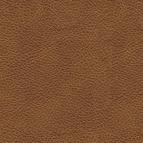 Carianna Queen Sofa Sleeper - Gate FurnitureSleeper Sofa