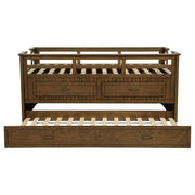 Carlsbad Wood Twin Captains Bed With Trundle Medium Brown - 400716T