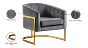 Carter Velvet Upholstered Accent Chair in Grey - 515Grey