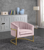 Carter Velvet Upholstered Accent Chair in Pink - 515Pink