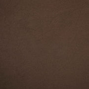 Cedra Velvet Performance Fabric Upholstered Chair in Brown - 33054Brown