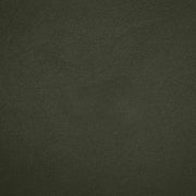 Cedra Velvet Performance Fabric Upholstered Chair in Green - 33055Green