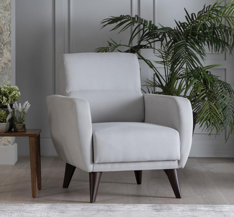 Chair In A Box - Flexy W/Storage(Zigana Light Gray) - Gate FurnitureLiving Room Chair