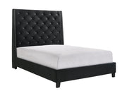 Chantilly Velvet Black Upholstered Queen Bed - Gate FurnitureQueen Bed