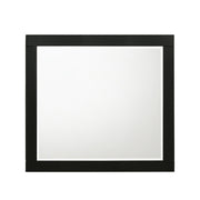 Chelsie Mirror - 27414