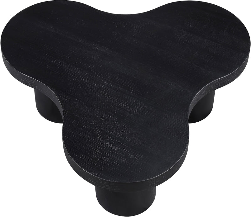 Cove Oak Veneer And Solid Wood Coffee Table in Black - 99000Black-CT13