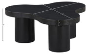 Cove Oak Veneer And Solid Wood Coffee Table in Black - 99000Black-CT13
