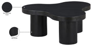 Cove Oak Veneer And Solid Wood Coffee Table in Black - 99000Black-CT13