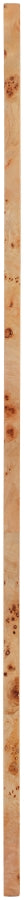 Cresthill Burl Wood Frame Mirror in Natural - 269-M