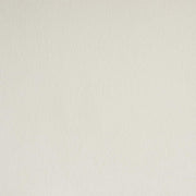 [D219-C] Eva - Chair (Cream), SOLID RUBER WOOD / VELVET, Cream Box: 1 of 1 Box of 2 - D219-C