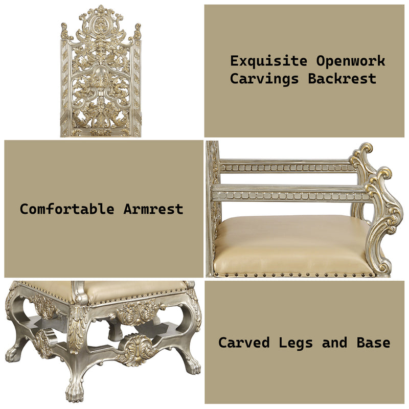 Danae Arm Chair (Set-2) - DN01199