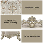 Danae Chair W/2 Pillows - LV01195