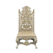Danae Side Chair (Set-2) - DN01198