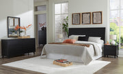 Danziar King Panel Headboard, Dresser and Mirror in Black - PKG016021