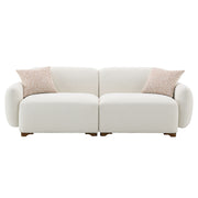 Darius Sofa w/2 Pillows - LV04540