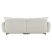 Darius Sofa w/2 Pillows - LV04540