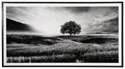 Deborland Wall Art - Gate FurnitureWall Art