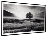 Deborland Wall Art - Gate FurnitureWall Art