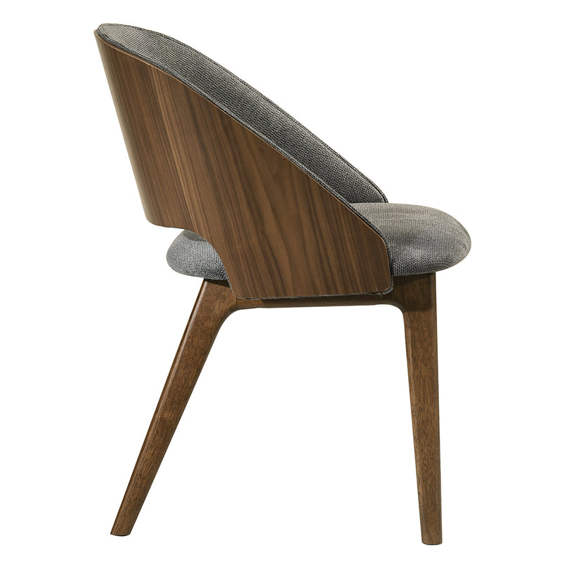 Delmon Side Chair (Set-2) - DN06272